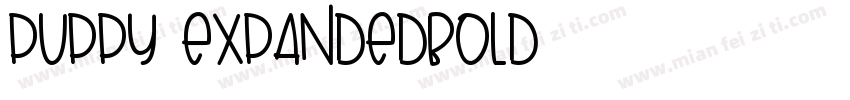 Puppy ExpandedBold字体转换